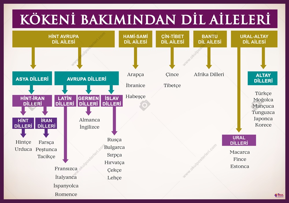 Kökeni Bakımından Dil Aileleri