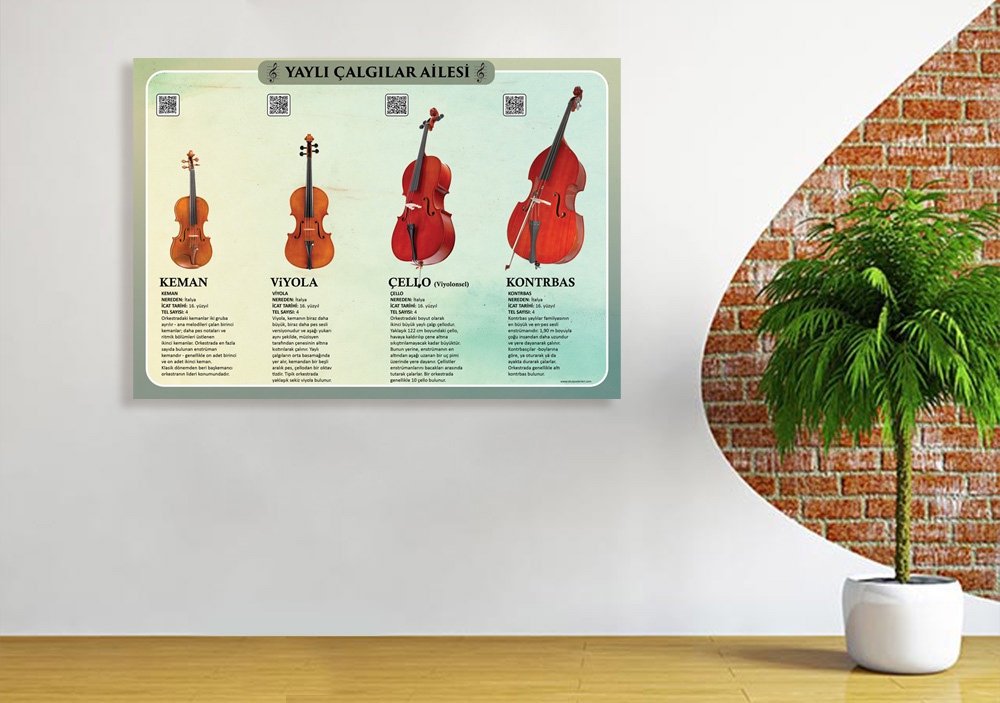 Yaylı Çalgılar Ailesi Okul Posteri