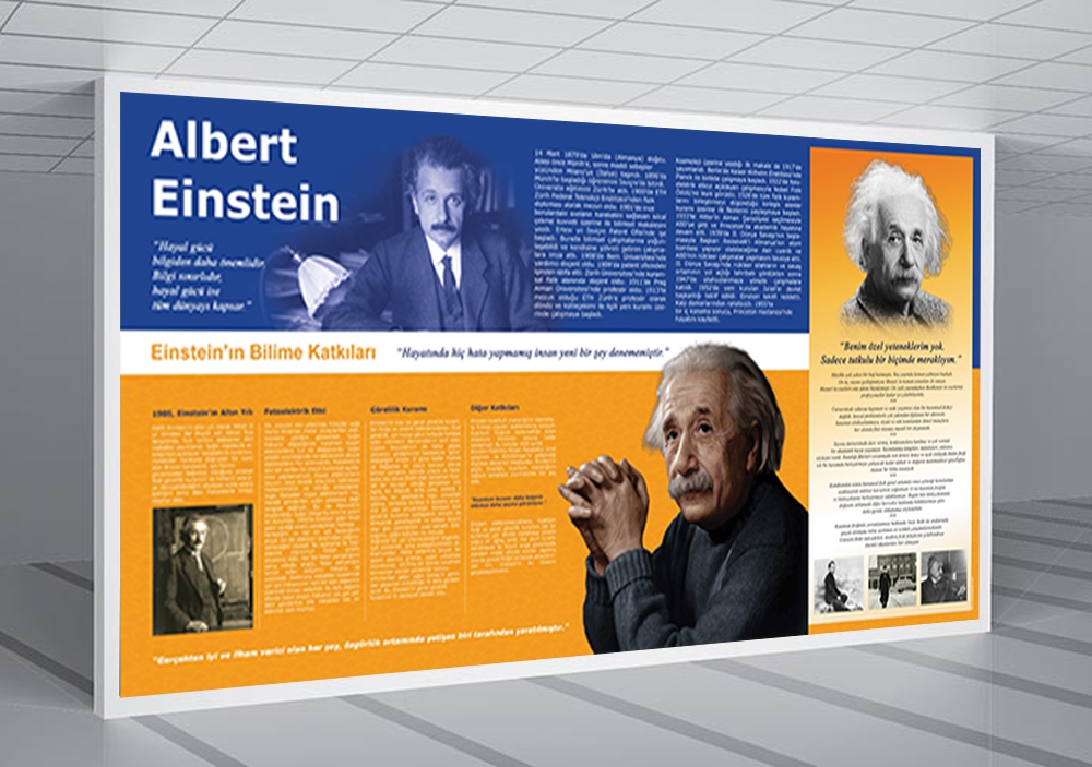 Albert Einstein Okul Posteri