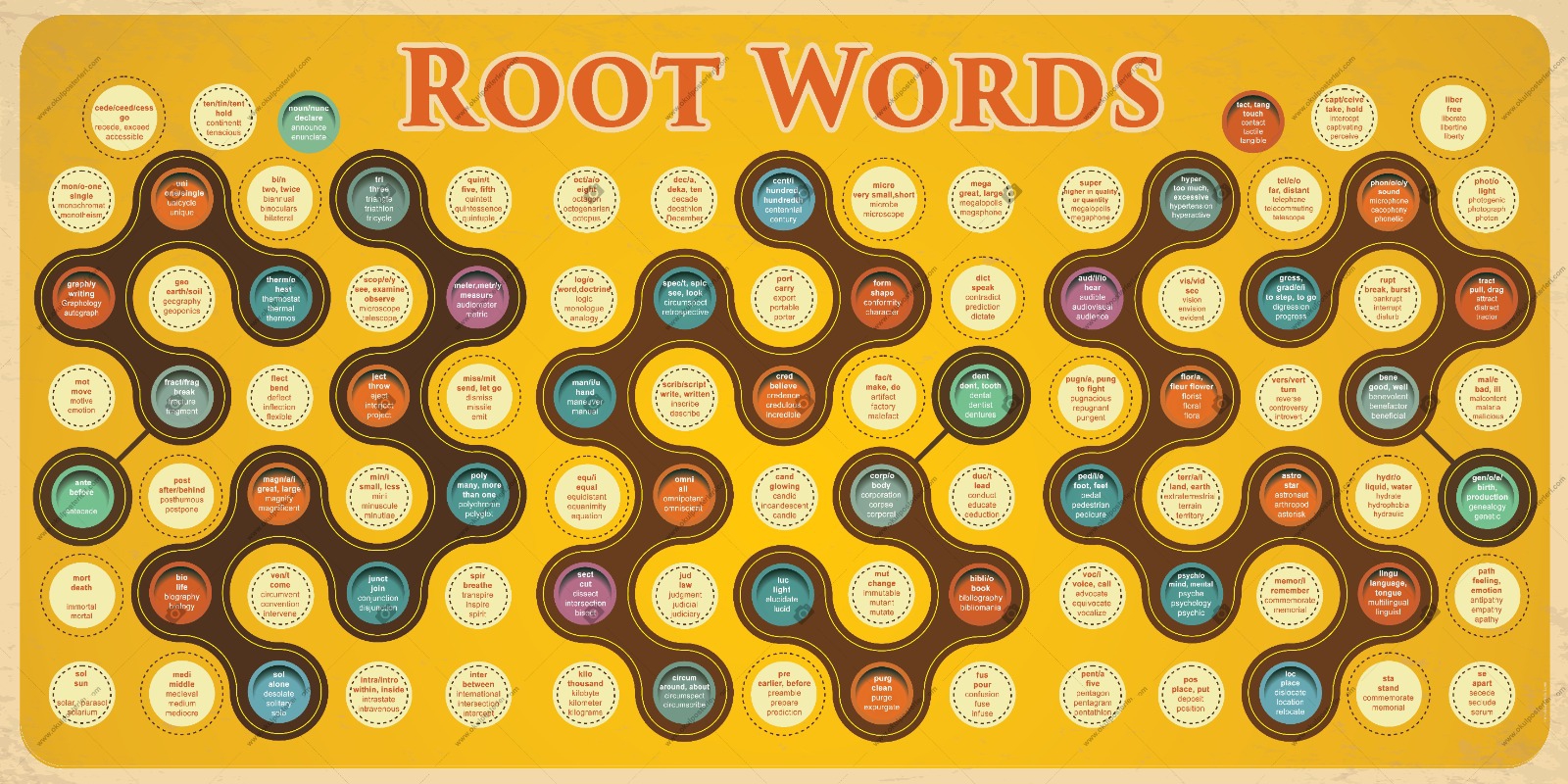 Root Woords Okulkapigiydirme