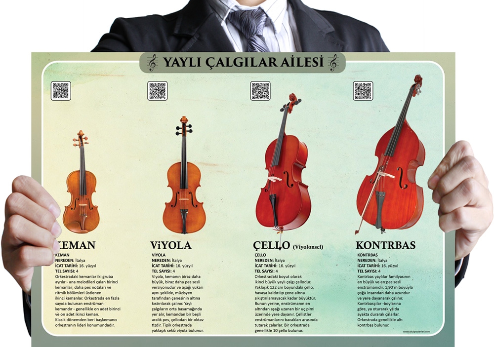 Yaylı Çalgılar Ailesi Okul Posteri