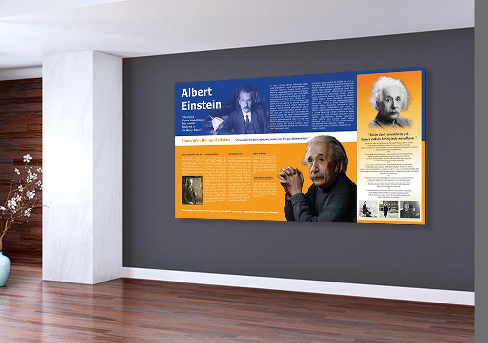 Albert Einstein Okul Posteri