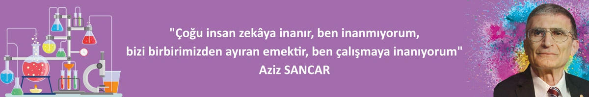 Fen Kiriş Yazısı 7