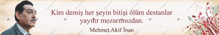 Yedi Güzel Adam Mehmet Akif İnan Kiriş Yazısı