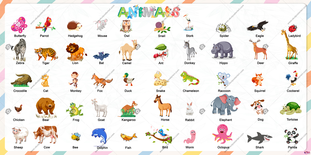 Animals - 2 Okul Posteri