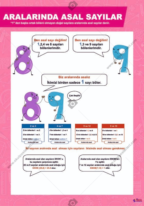 Aralarında Asal Sayılar Matematik Posteri