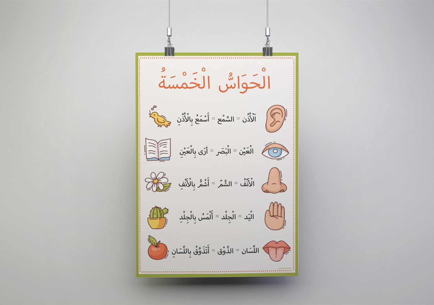  Arapça Beş Duyu Organımız ve Görevleri Okul Posteri