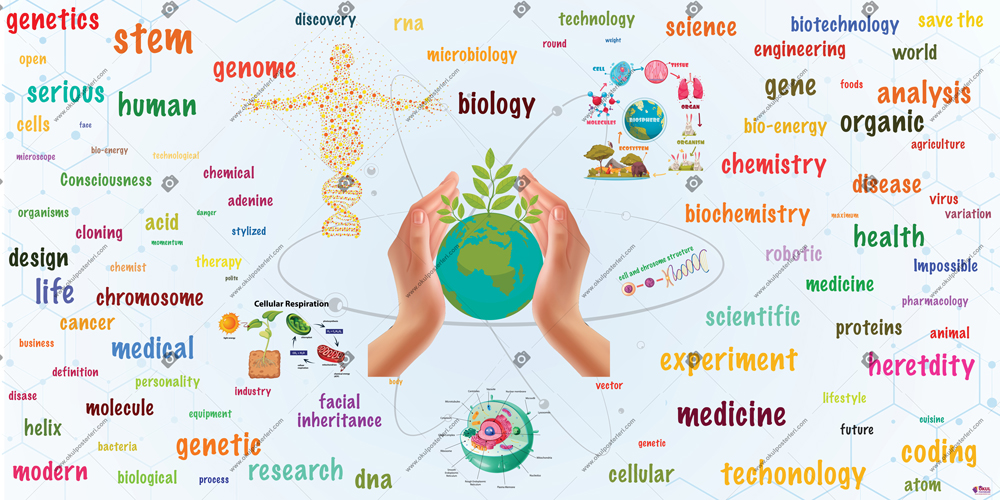Biology Wall Image School Poster