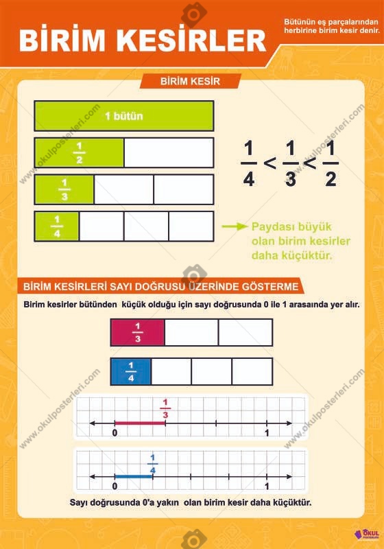 Birim Kesirler Matematik Posteri