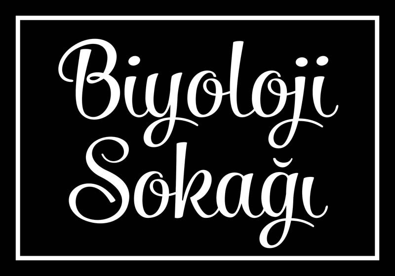 Biyoloji Sokağı Tabelası