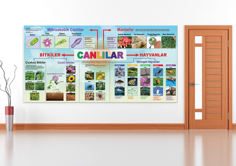 Canlılar Okul Posteri