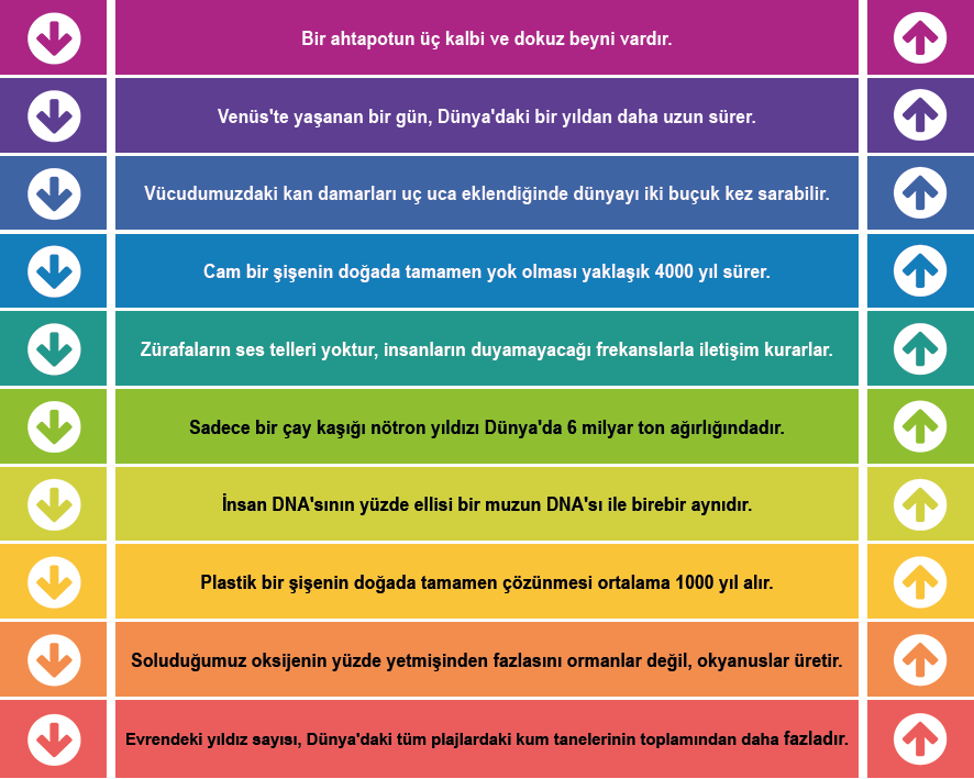 Eğitim Merdiven Yazısı 7