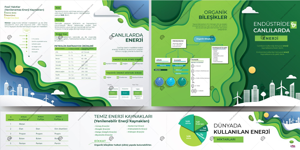 Endüstride ve Canlılarda Enerji Kimya Posteri
