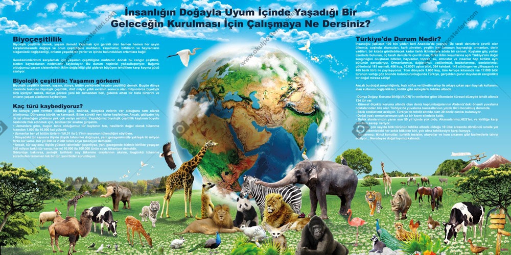Biyoçeşitlilik Okul Psteri