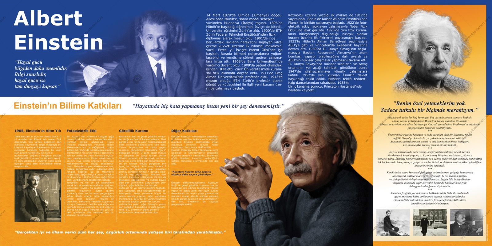 Albert Einstein Okul Posteri