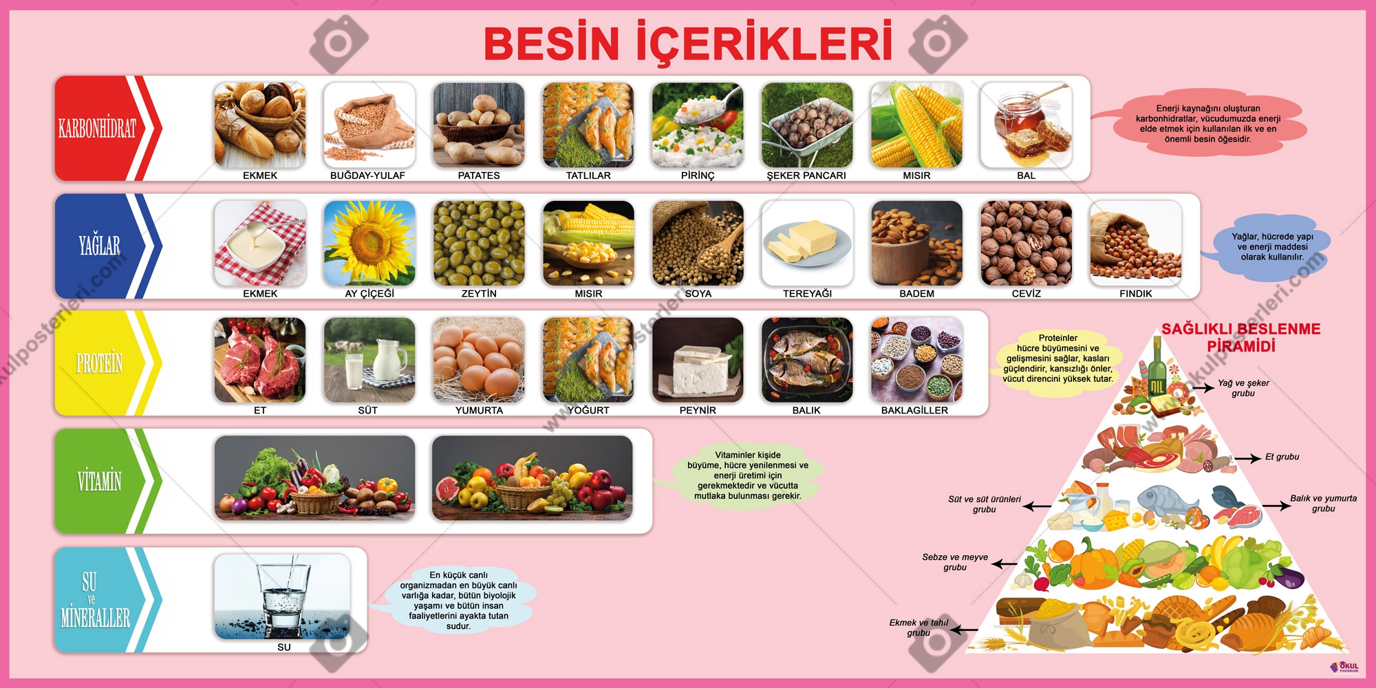 Besin İçerikleri Okul Posteri