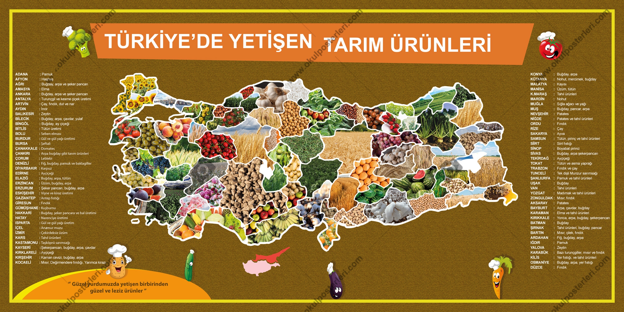 Türkiye’de Yetişen Tarım Ürünleri Posteri