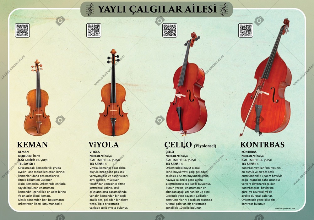Yaylı Çalgılar Ailesi Okul Posteri
