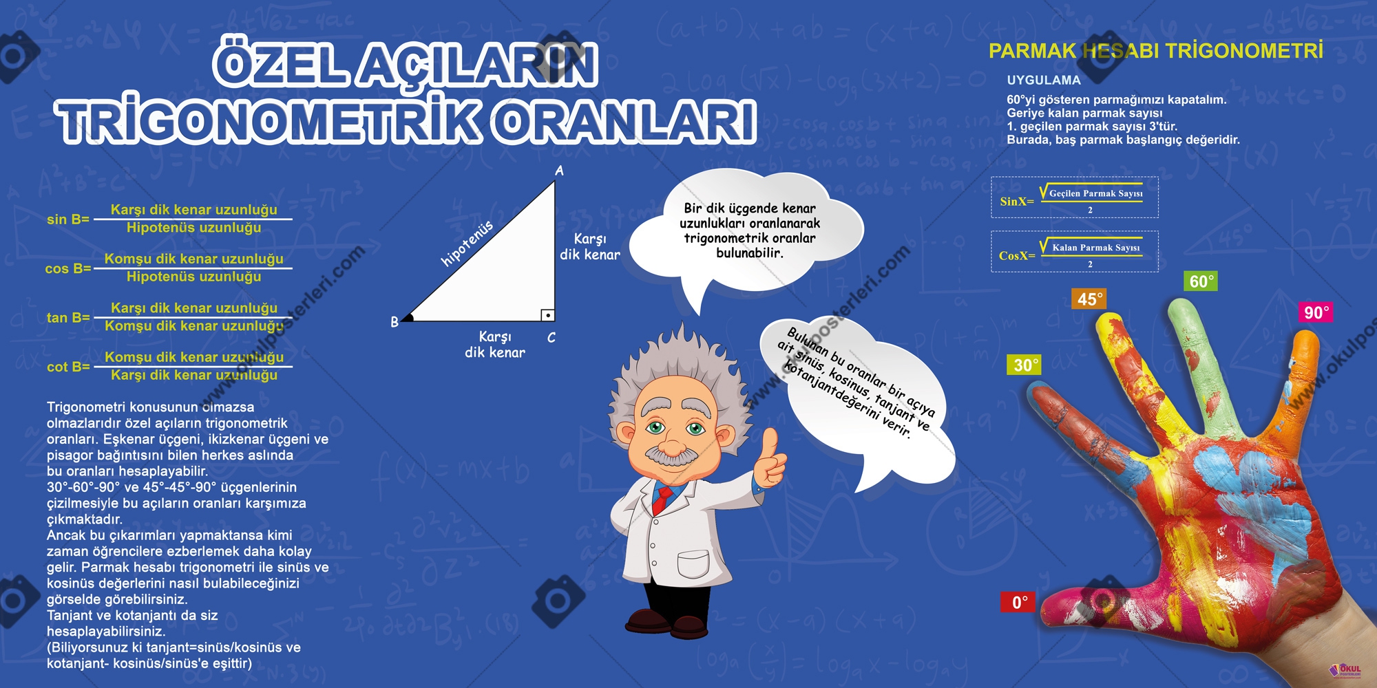 Özel Açıların Trigonometrik Oranları Okul Posteri