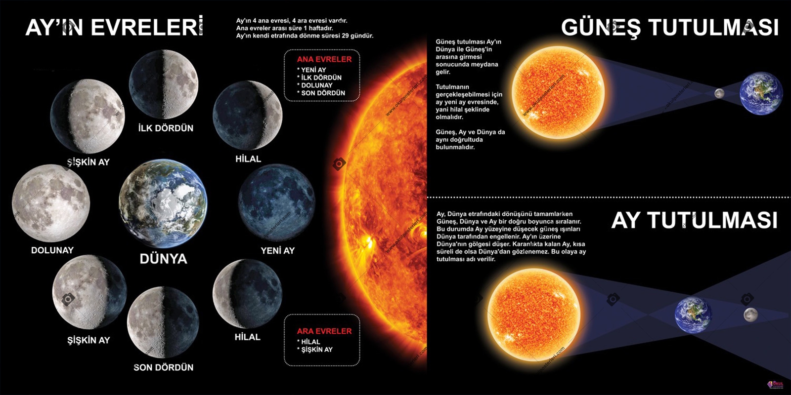 Ay’ın Evreleri ve Tutulmalar Okul Posteri