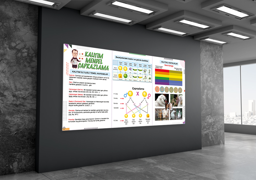  Kalıtım Mendel Çaprazlam Fen Posteri