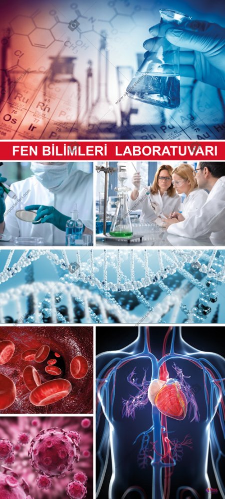 Fen Bilimleri Laboratuvarı 5