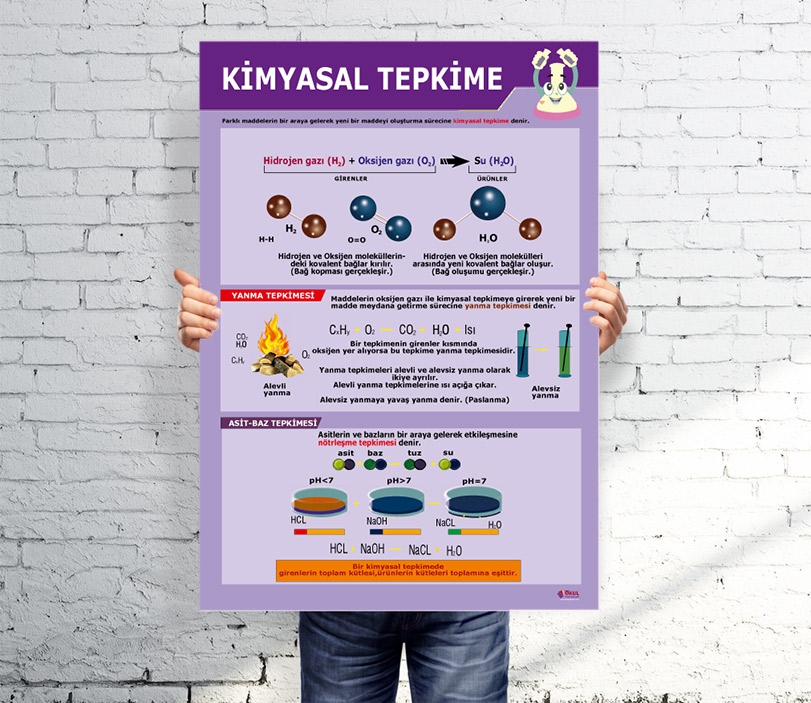 Kimyasal Tepkime Afişi