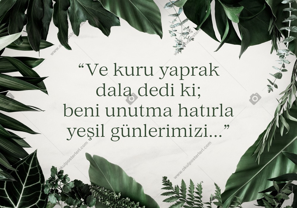 Türkçe Edebiyat Posteri 72
