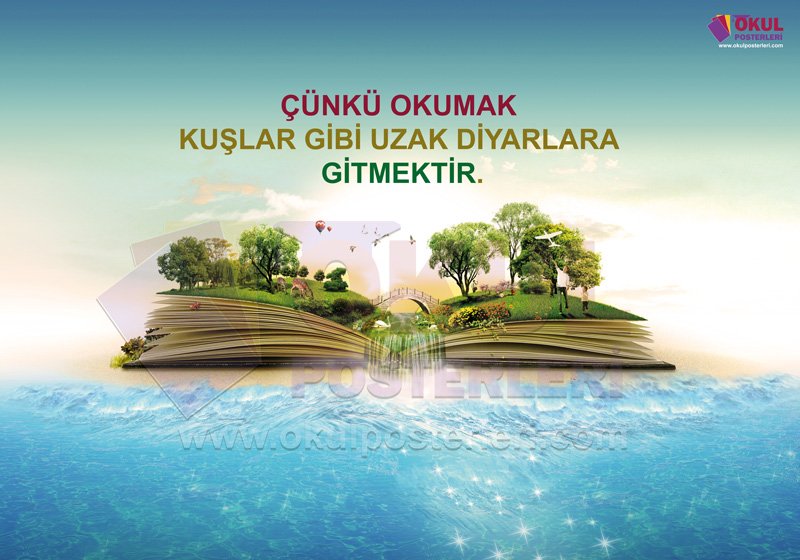 Kitap Okuma 11