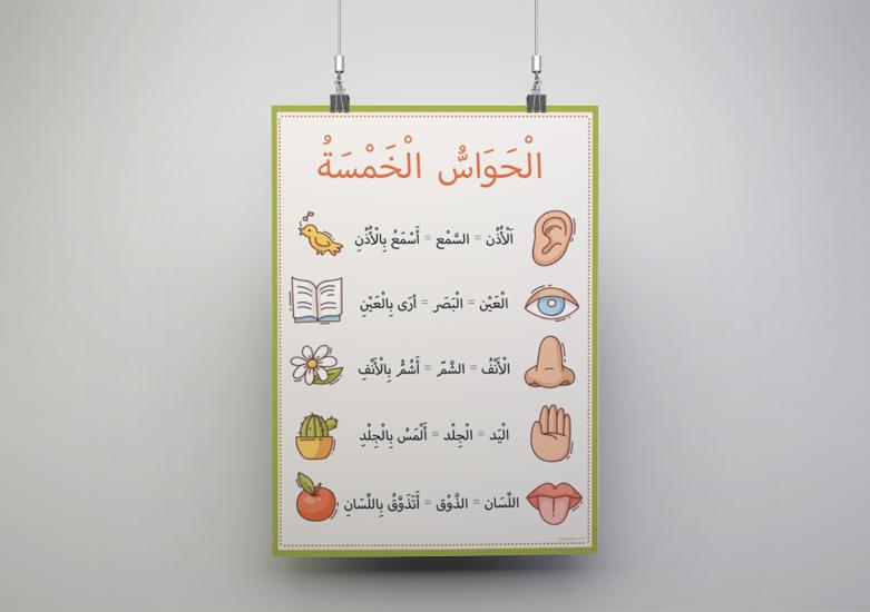  Arapça Beş Duyu Organımız ve Görevleri Okul Posteri