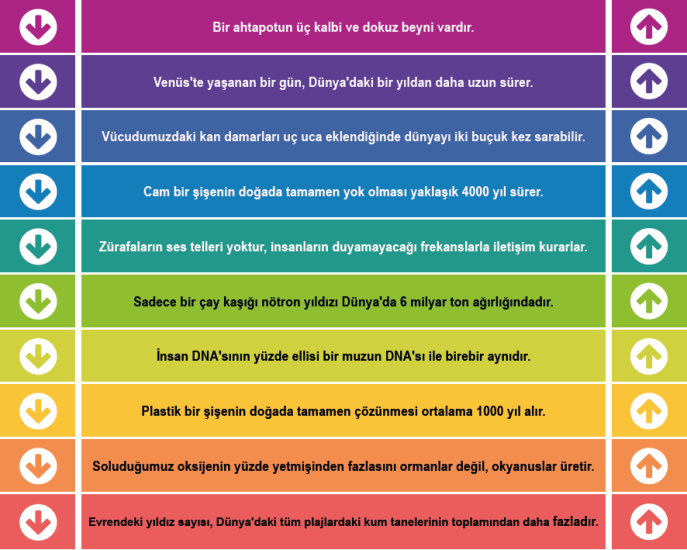 Eğitim Merdiven Yazısı 7