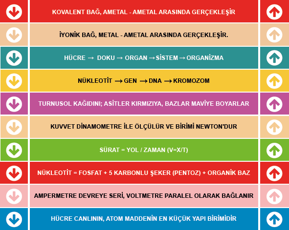 Fen Bilimleri Merdiven Yazısı 8