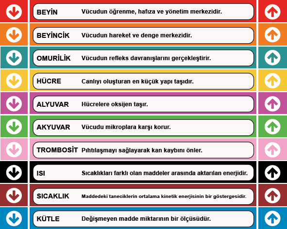 Fen Bilimleri Merdiven Yazısı 10