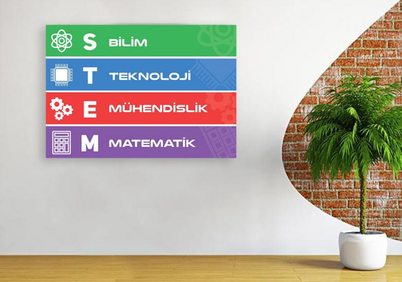 Stem Posteri