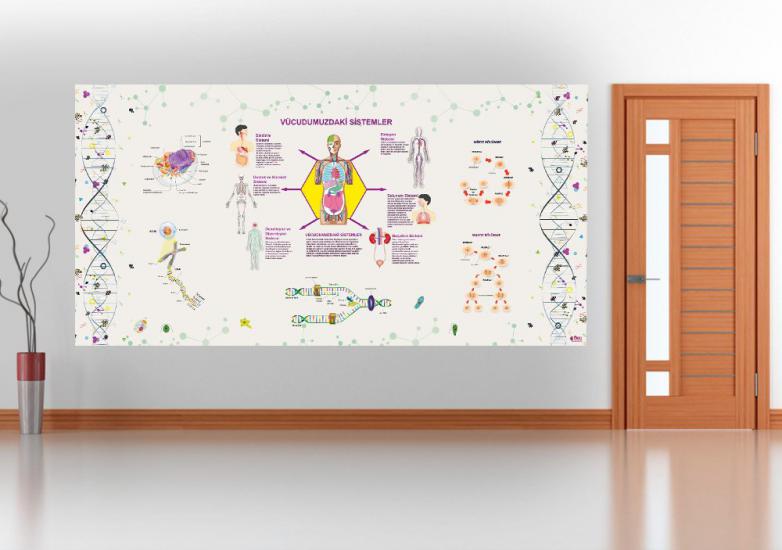 Vücudumuzdaki Sistemler Hücre DNA