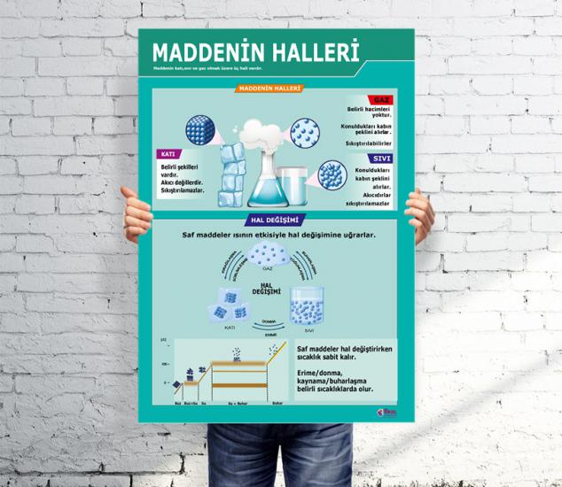 Maddenin Halleri Afişi