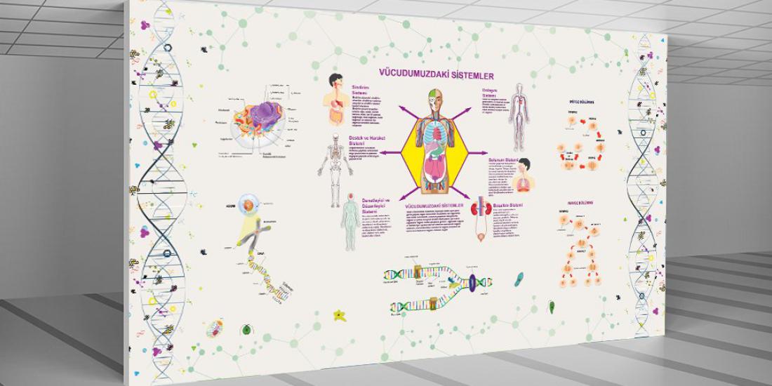 Biyoloji Sınıfı Duvar Giydirmesi 3