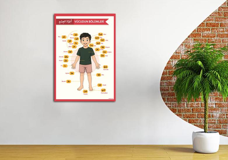 Arapça Vücudumuzun Bölümleri Okul Posteri