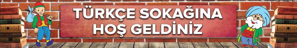 Türkçe Sokağı Yazısı Okul Posteri