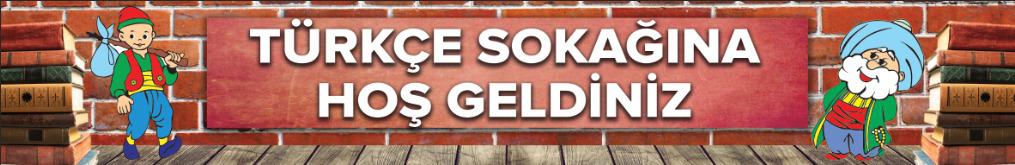 Türkçe Sokağı Yazısı Okul Posteri