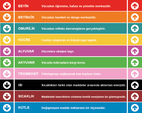 Fen Bilimleri Merdiven Yazısı 9