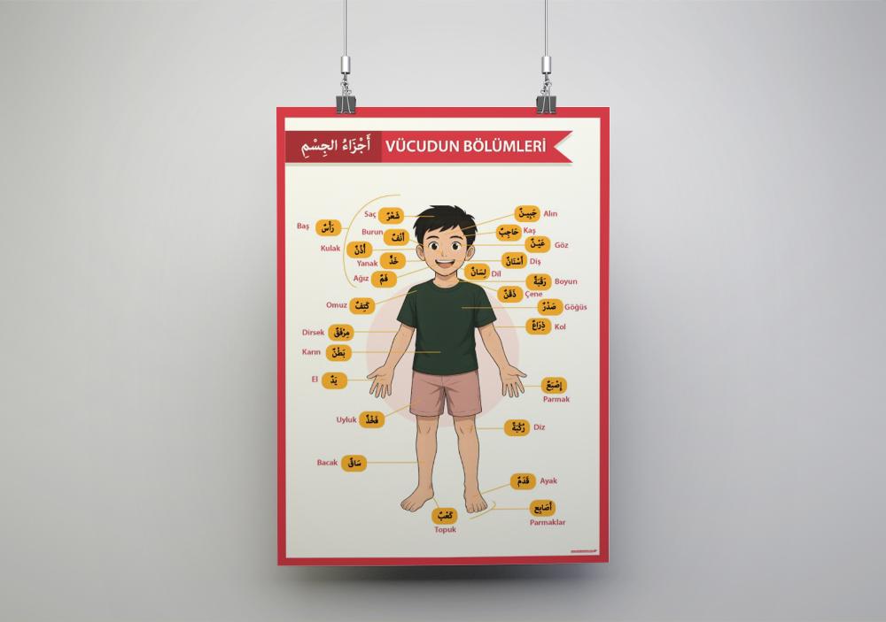 Arapça Vücudumuzun Bölümleri Okul Posteri