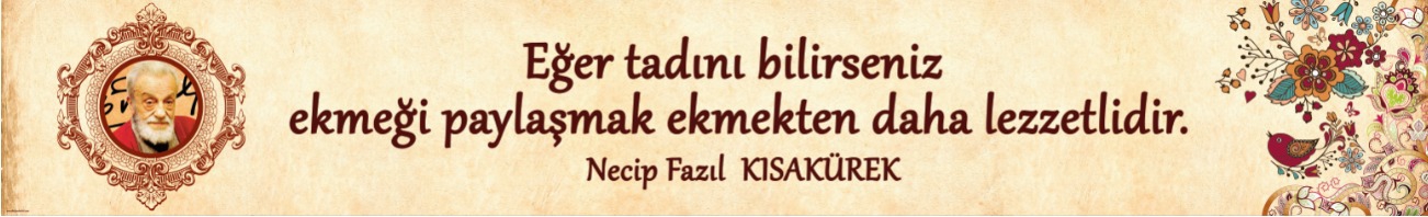 Edebiyat Kiriş Yazısı 8
