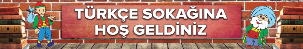 Türkçe Sokağı Yazısı Okul Posteri