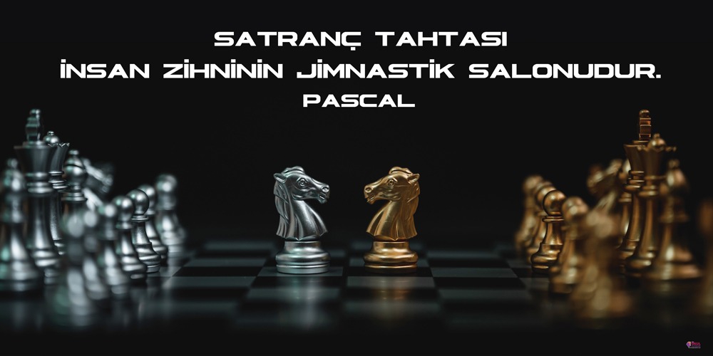 Satranç Okul Posteri 4